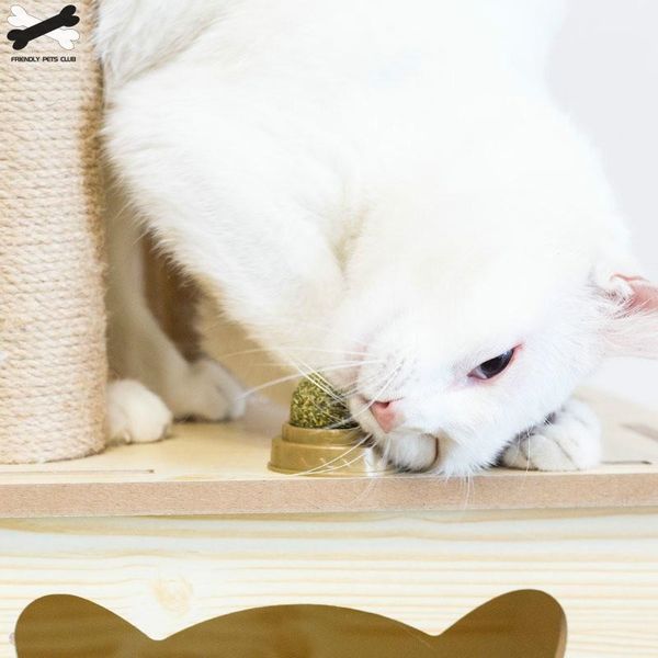 catnip ball cat snacks toy treats 100% natural healthy clean teeth and promote gastric digestion stick-on wall floor
catnip ball cat snacks toy treats 100% natural healthy clean teeth and promote gastric digestion stick-on wall floor
