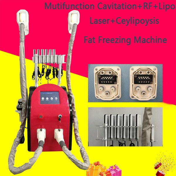 double cryo handles cool body sculpting cryolipolysis slimming machine cavitation rf lipo laser fat e slimming machine ing
double cryo handles cool body sculpting cryolipolysis slimming machine cavitation rf lipo laser fat e slimming machine ing
