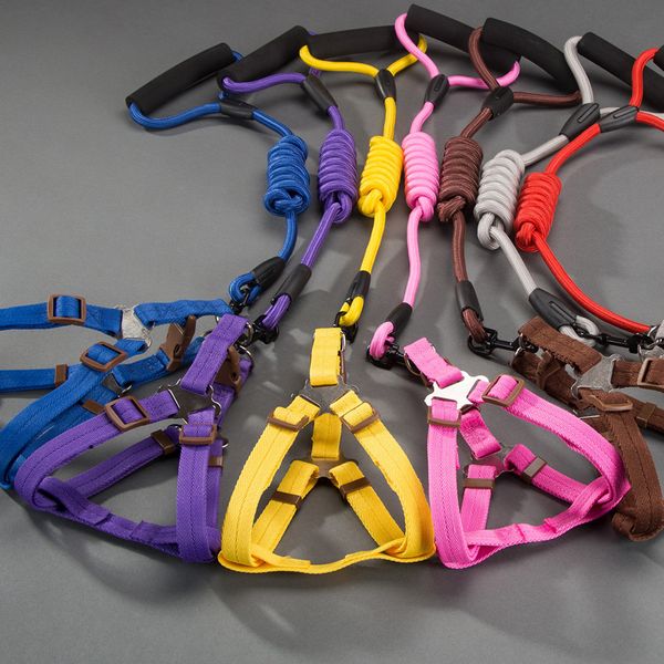 Ѭђка из нейлоновой пен teddy dog leash ва золоий ѬеѬивеѬ обака веѬевка из мелки
Ѭђка из нейлоновой пен teddy dog leash ва золоий ѬеѬивеѬ обака веѬевка из мелки