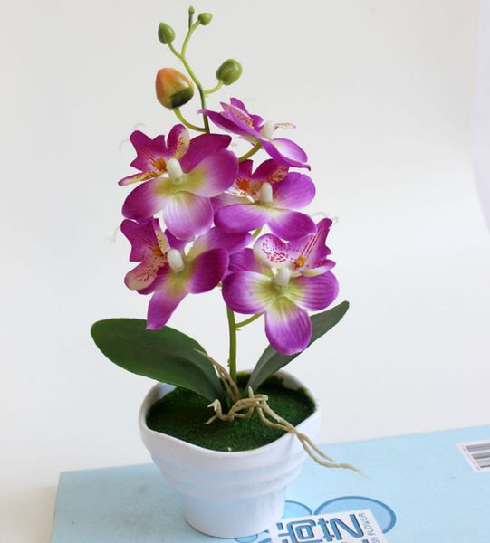 simulation flower five head butterfly orchid pot (including pots) creative ornaments simulation plant potted
simulation flower five head butterfly orchid pot (including pots) creative ornaments simulation plant potted