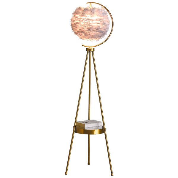 Nordic light Modern LED feather floor lamp with table theme hotel creative decoration warm and romantic girl bedroom bedside floor lamp
Nordic light Modern LED feather floor lamp with table theme hotel creative decoration warm and romantic girl bedroom bedside floor lamp