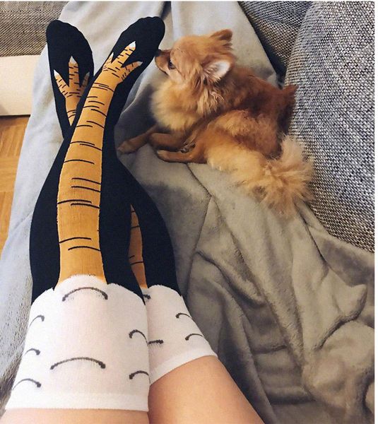 creative couples socks chicken socks exaggerated stovepipe socks leggings 2021, Black;white
creative couples socks chicken socks exaggerated stovepipe socks leggings 2021, Black;white