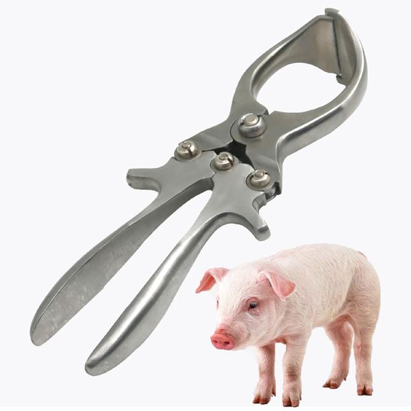 1pcs pig castration emasculate plier forceps bloodless boar castrate neuter veterinary equipment farming clamp piglet instrument pet produc
1pcs pig castration emasculate plier forceps bloodless boar castrate neuter veterinary equipment farming clamp piglet instrument pet produc