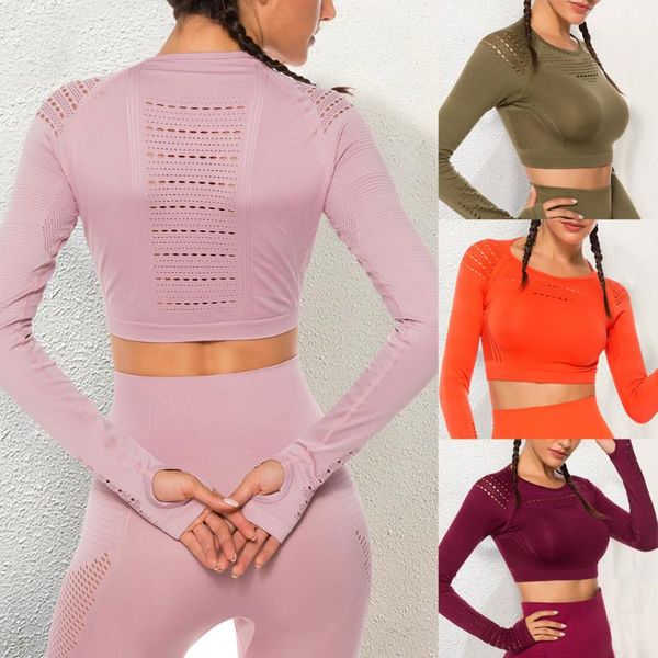 flawless knit seamless yoga fitness long sleeve women shirts workout gym crop breathable sport shirt women drop shipping, White;red
flawless knit seamless yoga fitness long sleeve women shirts workout gym crop breathable sport shirt women drop shipping, White;red