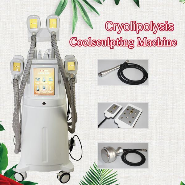 new cryolipolysis body slimming machine cryolipolyse fat ing cavitation rf cryolipolysis body contouring weight loss equipment
new cryolipolysis body slimming machine cryolipolyse fat ing cavitation rf cryolipolysis body contouring weight loss equipment