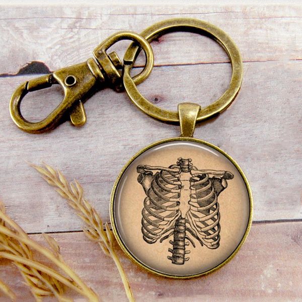 skeleton torso key ring key chain buckle pendant birthday festival anniversary gift jewelry accessories, Slivery;golden
skeleton torso key ring key chain buckle pendant birthday festival anniversary gift jewelry accessories, Slivery;golden