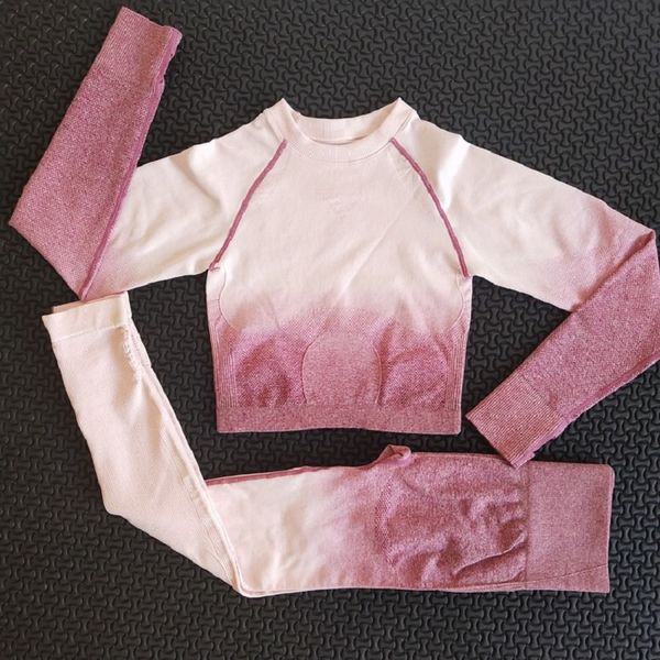 2 piece gym set women ombre seamless workout set yoga sets women gym clothes long sleeve fitness clothing activewear, White;red
2 piece gym set women ombre seamless workout set yoga sets women gym clothes long sleeve fitness clothing activewear, White;red