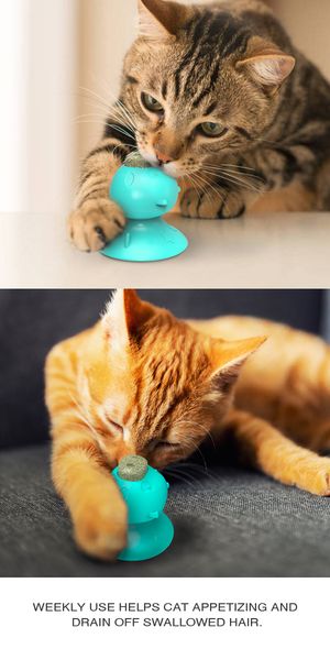 2020 pet cat bathing toy puppy shedding distraction lick pad shower toys wall suction teeth clean molar toy for pet supplies
2020 pet cat bathing toy puppy shedding distraction lick pad shower toys wall suction teeth clean molar toy for pet supplies