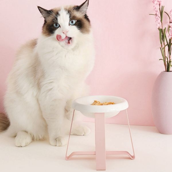 new dog cat bowls pet supplies dog bowl cat food feeding feeder food and water dish bowl other cat supplies
new dog cat bowls pet supplies dog bowl cat food feeding feeder food and water dish bowl other cat supplies