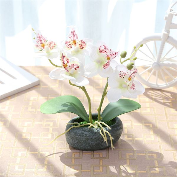 artificial butterfly orchid plants potted silk flower with plastic pots moss vase set wedding home balcony decoration
artificial butterfly orchid plants potted silk flower with plastic pots moss vase set wedding home balcony decoration