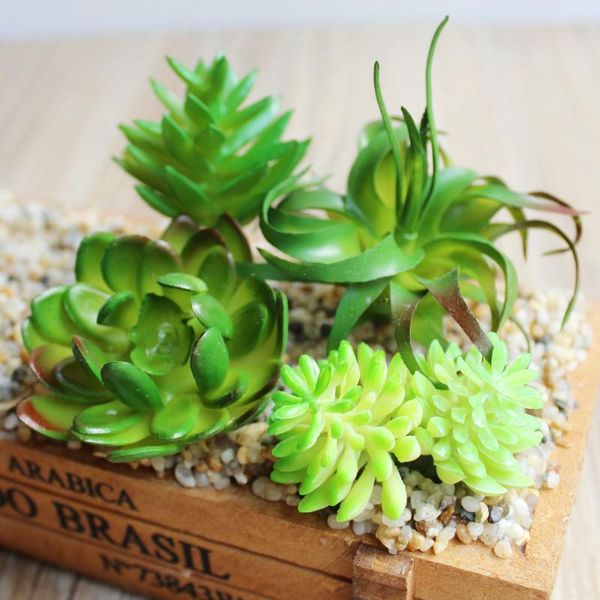 new artificial succulents plants pvc mini grass artificial plants landscape fake flowers wedding decoration deskbonsai plant
new artificial succulents plants pvc mini grass artificial plants landscape fake flowers wedding decoration deskbonsai plant