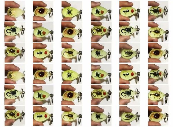 36 pcs unique insect resin waterdrop keychain mixed ant scorpion souvenir gifts, Slivery;golden
36 pcs unique insect resin waterdrop keychain mixed ant scorpion souvenir gifts, Slivery;golden