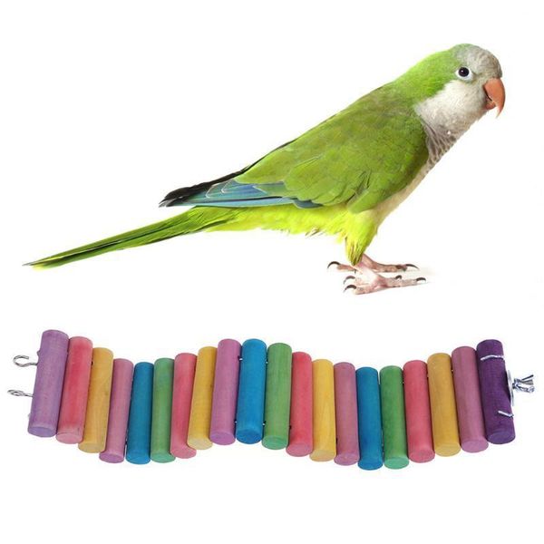 articles bird hamster colour log small parrot rainbow path along the cliff scaling ladder toys
articles bird hamster colour log small parrot rainbow path along the cliff scaling ladder toys