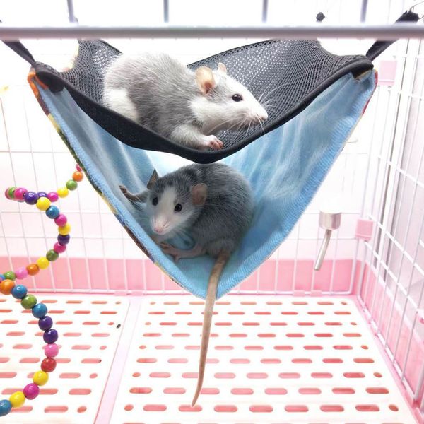double layer pet hanging bed small animal swing hammock spring summer cage hanging sleeping bed
double layer pet hanging bed small animal swing hammock spring summer cage hanging sleeping bed