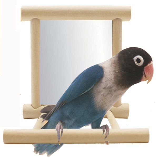pet bird parrot parakeet budgie cockatiel cage wooden bird stand toys hanging toys birds accessories 10*10*10
pet bird parrot parakeet budgie cockatiel cage wooden bird stand toys hanging toys birds accessories 10*10*10