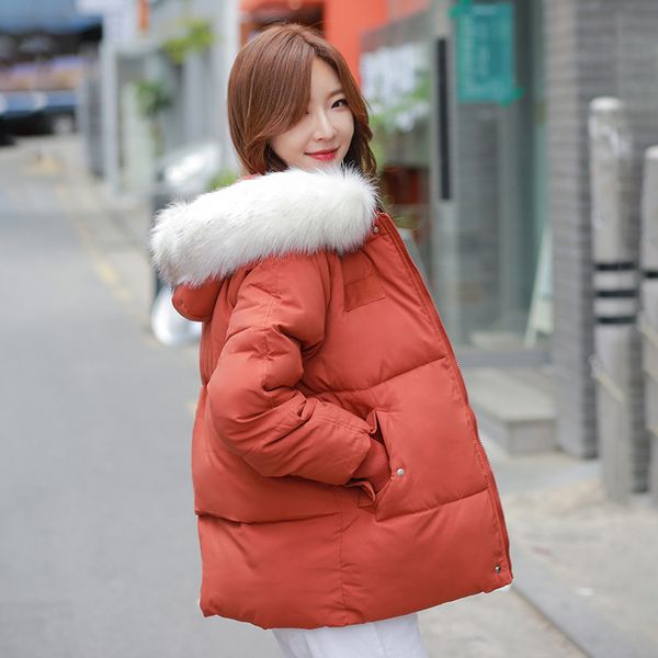 fashion women down parka winter 2019 edition hooded winter new small padded jacket easing down padded jacket for women, Black
fashion women down parka winter 2019 edition hooded winter new small padded jacket easing down padded jacket for women, Black