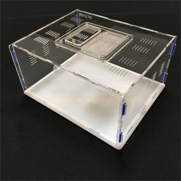 ant grape series xl size ant nest active area ,ant farm acryl, insect nests villa new pet advanced mania for house ants
ant grape series xl size ant nest active area ,ant farm acryl, insect nests villa new pet advanced mania for house ants