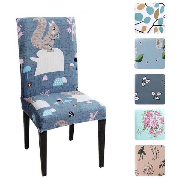 covers for chairs printing spandex chair cover squirrel covers for dining room chairs ch47015
covers for chairs printing spandex chair cover squirrel covers for dining room chairs ch47015