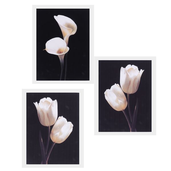 3 панель цветочного узор холст масло wall art постер unframed для спальни гостиная гобелена декора
3 панель цветочного узор холст масло wall art постер unframed для спальни гостиная гобелена декора