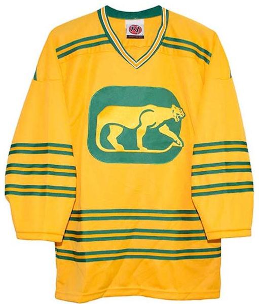 real white men real full embroidery vintage chicago cougars home hockey jersey 100% embroidery jersey or custom any name or number jersey, Black;red
real white men real full embroidery vintage chicago cougars home hockey jersey 100% embroidery jersey or custom any name or number jersey, Black;red