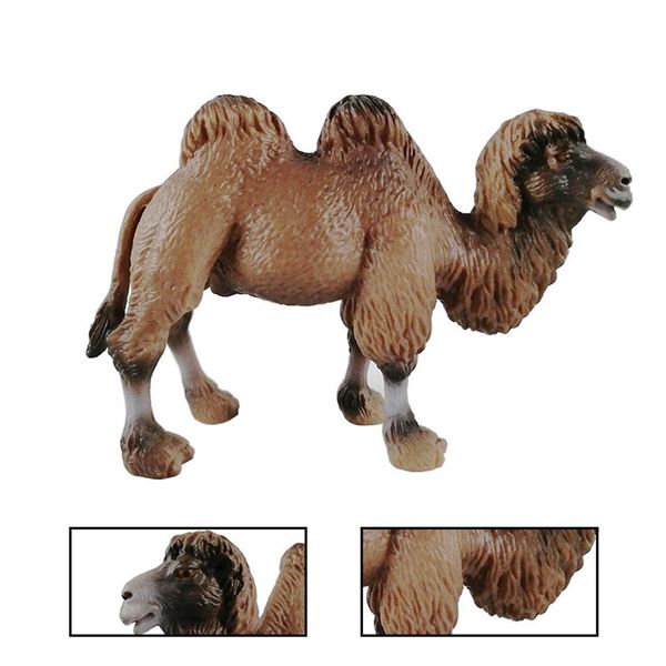 realistic bactrian camels animal figurine hand painted model kids education toy animal miniature figurine toy for kids gift
realistic bactrian camels animal figurine hand painted model kids education toy animal miniature figurine toy for kids gift