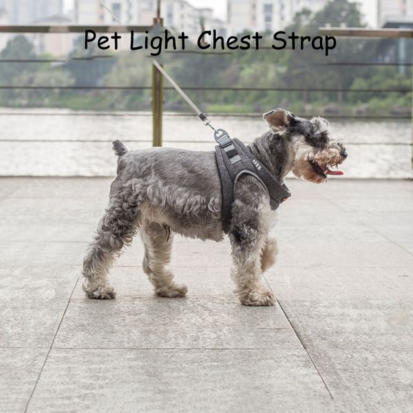 he pet light chest strap adjustable breathable reflective safety pet dog harness lead dog chest straps accessories
he pet light chest strap adjustable breathable reflective safety pet dog harness lead dog chest straps accessories