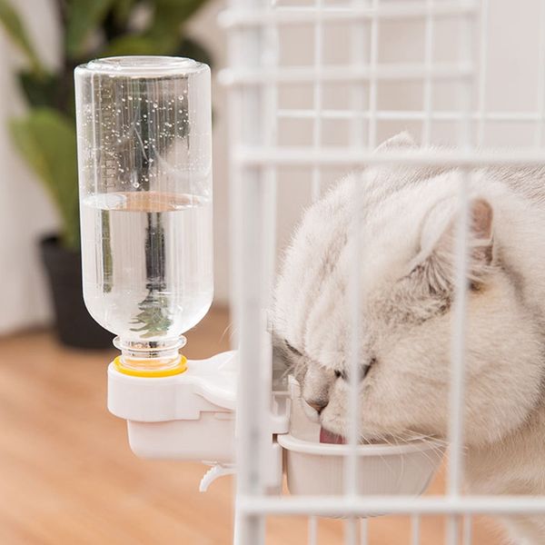 cat water dispenser pet water feeder installed water bowl for cat dog