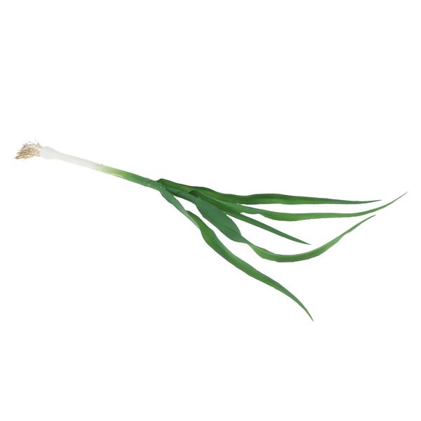 artificial vegetable sample display garlic shallot for decorative sample display
artificial vegetable sample display garlic shallot for decorative sample display