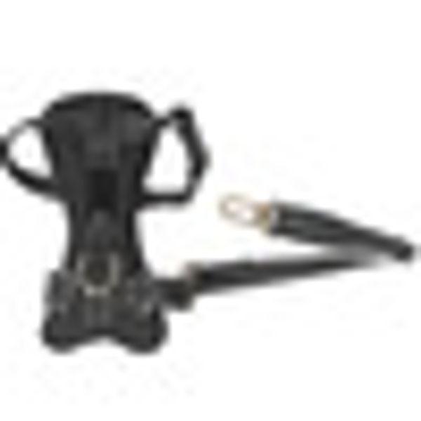 vehicle safety car vest pet traction restraint mesh dog harness lead clip seat belt supplies soft
vehicle safety car vest pet traction restraint mesh dog harness lead clip seat belt supplies soft
