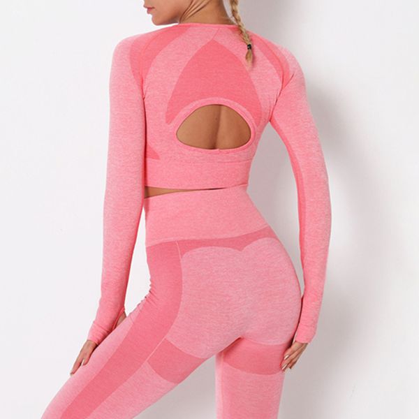 seamless yoga set women pink sports long sleeve open back crop shirts womens workout gym suit sportwear fitness clothes, White;red
seamless yoga set women pink sports long sleeve open back crop shirts womens workout gym suit sportwear fitness clothes, White;red
