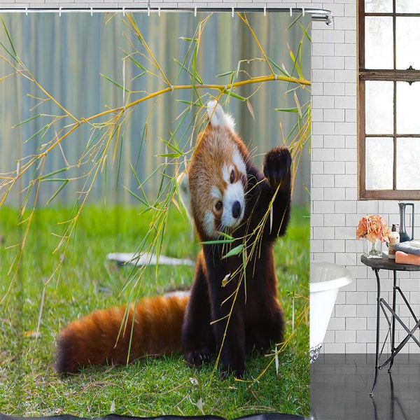 eco-friendly shower curtain chinese lesser panda printed shower curtain bathroom decor waterproof fabric bath
eco-friendly shower curtain chinese lesser panda printed shower curtain bathroom decor waterproof fabric bath