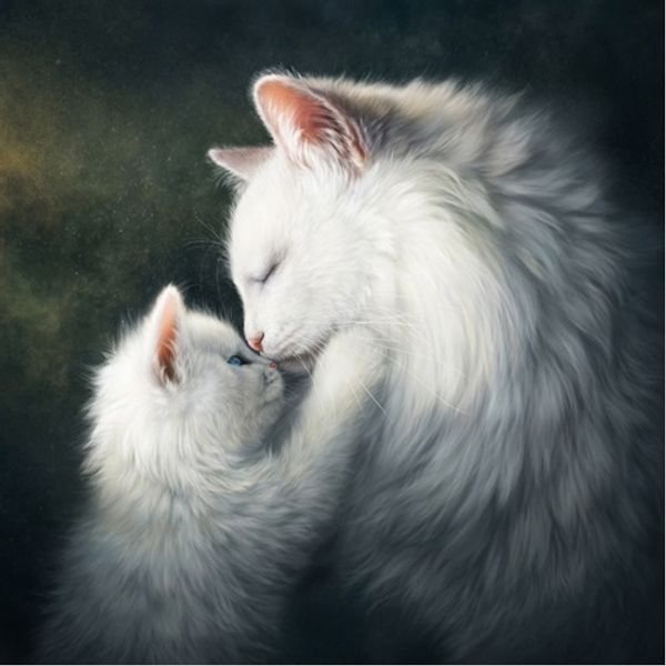 full square/round drill 5d diy diamond painting "cat" embroidery cross stitch mosaic home decor art experience toys gift a0749
full square/round drill 5d diy diamond painting "cat" embroidery cross stitch mosaic home decor art experience toys gift a0749