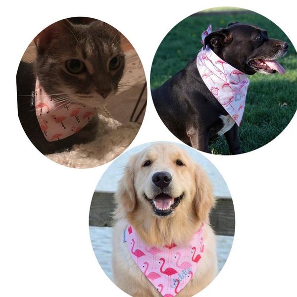 flamingo pattern pet triangle cat and dog bib fashion cotton double-layer scarf pet beautiful saliva towel
flamingo pattern pet triangle cat and dog bib fashion cotton double-layer scarf pet beautiful saliva towel