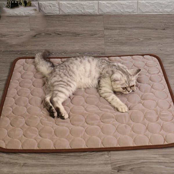 pet soft summer cooling mats blanket pet dog self cooling mat pad summer car seat ice silk mat non sticking blanket
pet soft summer cooling mats blanket pet dog self cooling mat pad summer car seat ice silk mat non sticking blanket