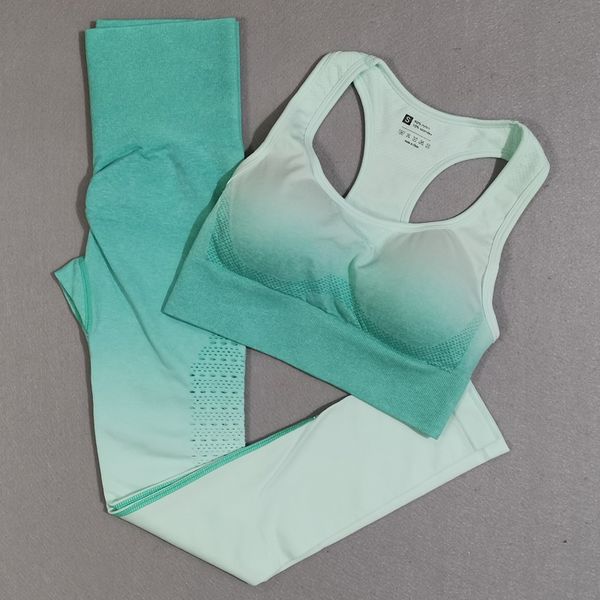 2pcs seamless yoga set gym sets women gym clothes sports bra +leggings woman sportswear female fitness clothing suit, White;red
2pcs seamless yoga set gym sets women gym clothes sports bra +leggings woman sportswear female fitness clothing suit, White;red