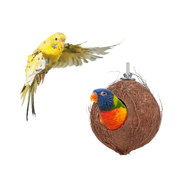 shell bird's hamster squirrel reproduction cool nest coconut climb the ladder parrot toys
shell bird's hamster squirrel reproduction cool nest coconut climb the ladder parrot toys