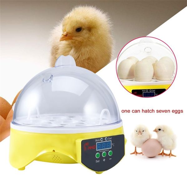 7 яйца инкубатор пластиковые цифровой chicken температуры автоматическое управление инкубатор хэтчер инкубационный инструменты расходные мат
7 яйца инкубатор пластиковые цифровой chicken температуры автоматическое управление инкубатор хэтчер инкубационный инструменты расходные мат