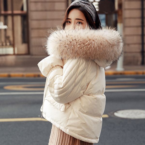 big real raccoon fur 2019 winter jacket women female snow coat white duck down jacket thick warm down parka winter woman coat, Black
big real raccoon fur 2019 winter jacket women female snow coat white duck down jacket thick warm down parka winter woman coat, Black