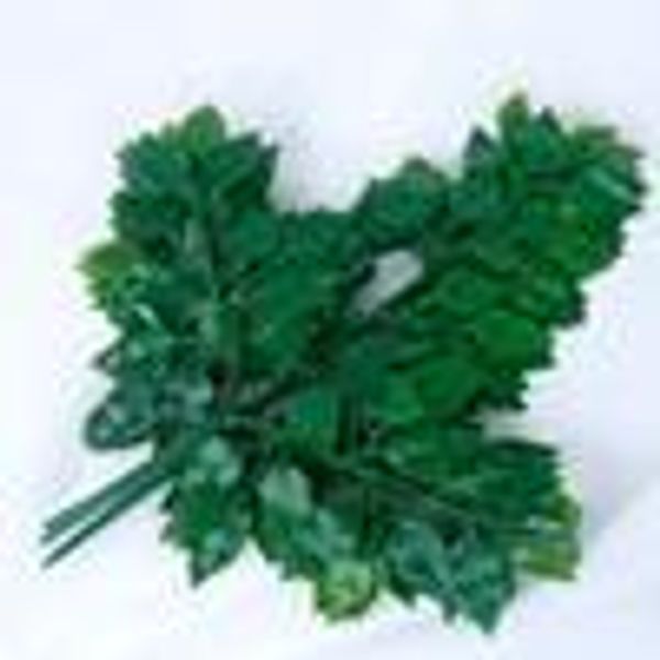simulation eucalyptus leaf plastic plants home decor wedding garden diy decoration leaves outdoor decor artificial plants fake branch
simulation eucalyptus leaf plastic plants home decor wedding garden diy decoration leaves outdoor decor artificial plants fake branch