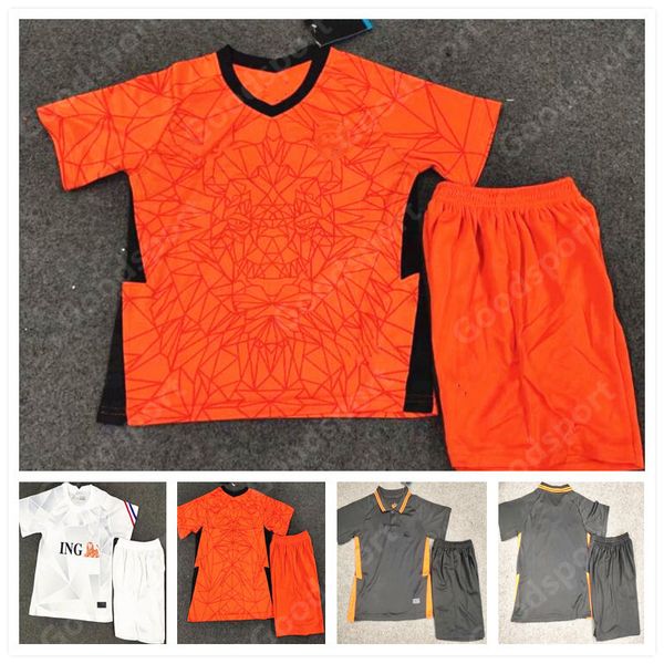 2021 2020 netherland kids soccer jersey holland home #3 de ligt #4 virgil #7 de jong #10 memphis customize football shirt kid kits sport, Black
2021 2020 netherland kids soccer jersey holland home #3 de ligt #4 virgil #7 de jong #10 memphis customize football shirt kid kits sport, Black