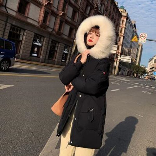 winter jacket women 2019 new hooded women down coat fur collar zippers long jacket female warm winter down, Black
winter jacket women 2019 new hooded women down coat fur collar zippers long jacket female warm winter down, Black