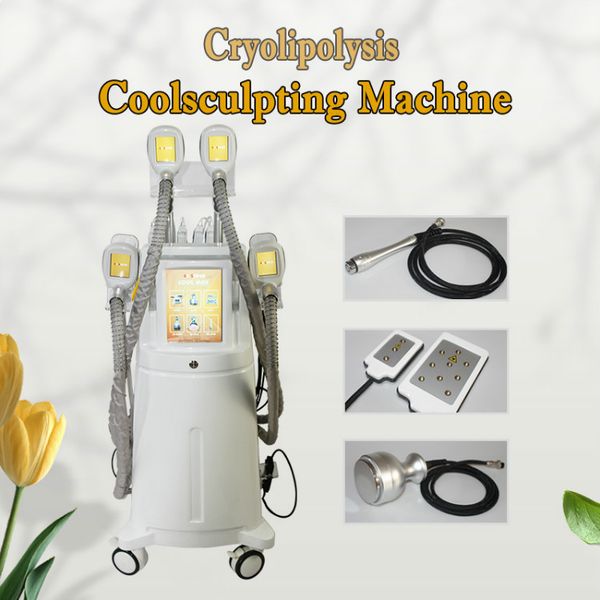 8 в 1 cryo cryolipolysis уменьшая машину оборудования тучную freezeing 4 cryo регулирует контурить кавитации lipolaser cryolipolyse тучный
8 в 1 cryo cryolipolysis уменьшая машину оборудования тучную freezeing 4 cryo регулирует контурить кавитации lipolaser cryolipolyse тучный