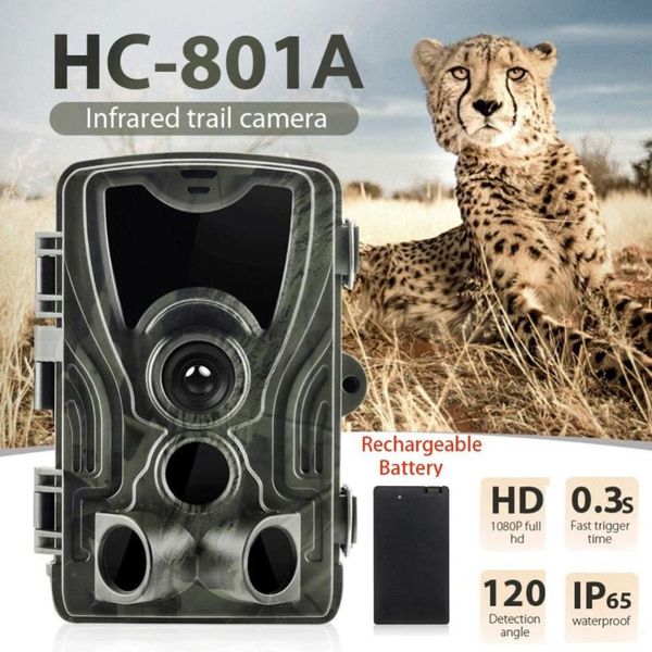 hunting trail camera night version wild camera 16mp 1080p ip65 p trap 0.3s trigger wildlife surveillance with battery
hunting trail camera night version wild camera 16mp 1080p ip65 p trap 0.3s trigger wildlife surveillance with battery