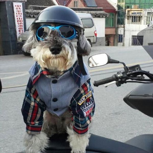 stylish and fun pet/dog puppy uv goggles sunglasses waterproof protection sun glasses for dog
stylish and fun pet/dog puppy uv goggles sunglasses waterproof protection sun glasses for dog