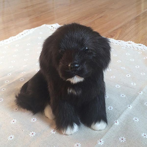 simulated cute small black dog home car deskpgraphy props decor toy gift stuffed animal doll kids shop decoration
simulated cute small black dog home car deskpgraphy props decor toy gift stuffed animal doll kids shop decoration