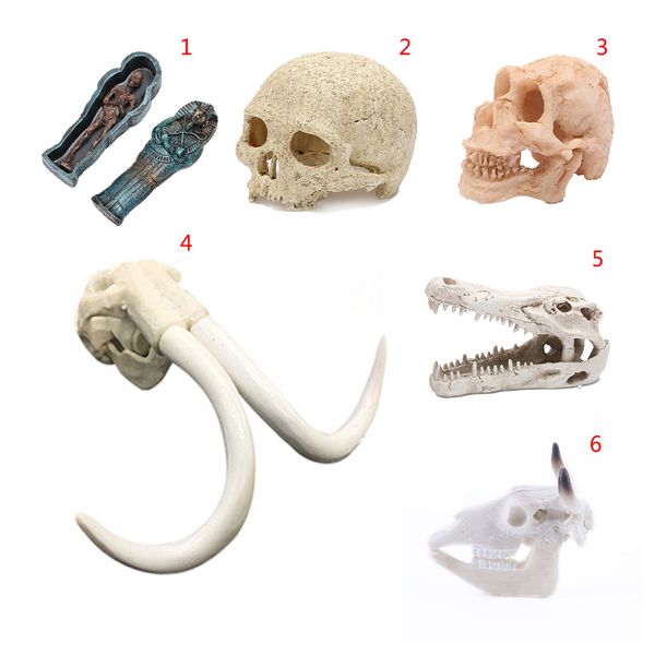 resin simulation head bone skull shape terrarium reptile hide cave aquarium fish tank landscape decor ornament
resin simulation head bone skull shape terrarium reptile hide cave aquarium fish tank landscape decor ornament