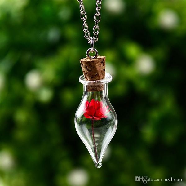 2020 cone wishing bottles dried flower necklaces women necklace glass necklaces plant new designer jewelry christmas gift n1541, Silver
2020 cone wishing bottles dried flower necklaces women necklace glass necklaces plant new designer jewelry christmas gift n1541, Silver