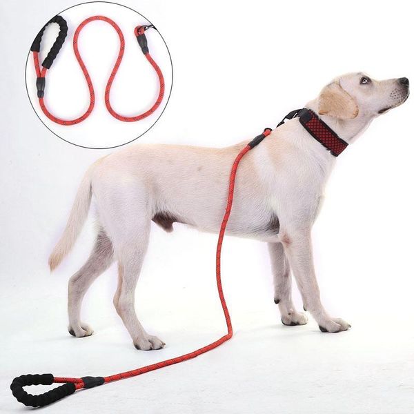большой pet walking поводки rope 1.5м собак светоотражающие поводки укрепление мягкая ручка круглый pet поводок собаки бег tracking поводки
большой pet walking поводки rope 1.5м собак светоотражающие поводки укрепление мягкая ручка круглый pet поводок собаки бег tracking поводки