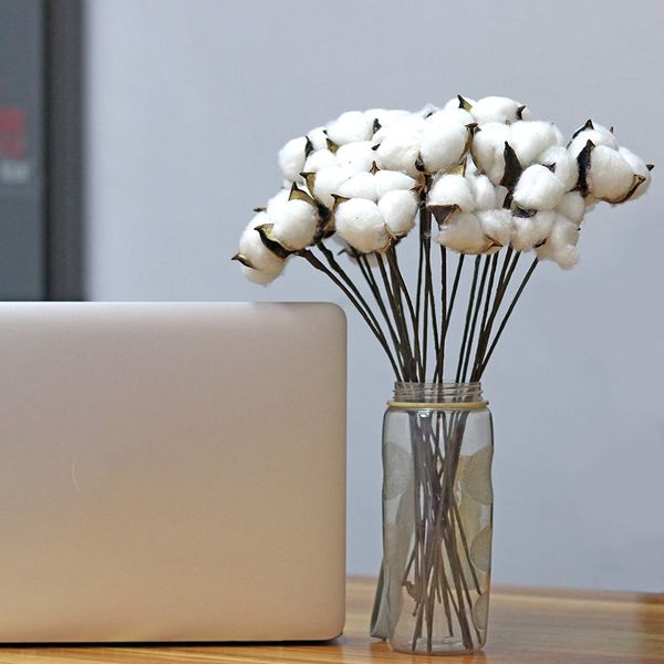 30 pcs white natural cotton boll balls wire stem 12 inch length for wreaths, decor, off stick branches wired raw look white cott
30 pcs white natural cotton boll balls wire stem 12 inch length for wreaths, decor, off stick branches wired raw look white cott