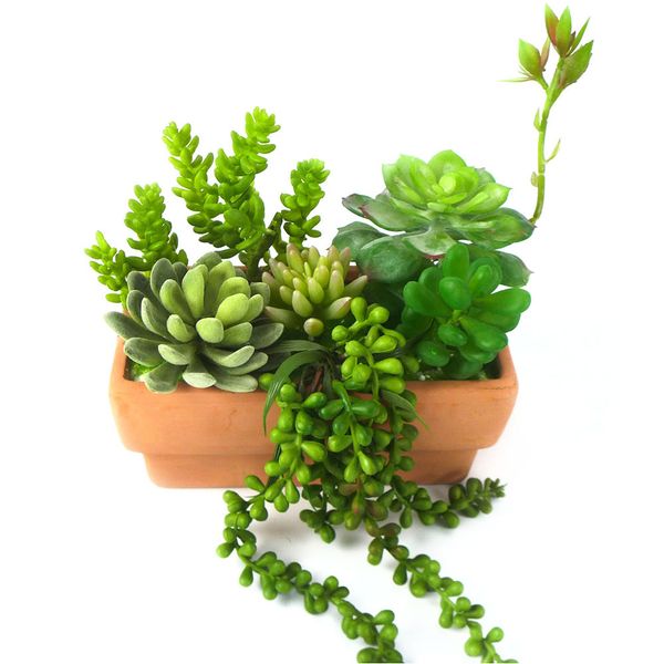 6pcs/set wedding bonsai potted simulation succulents foliage bedroom ornaments craft home office artificial plants diy landscape
6pcs/set wedding bonsai potted simulation succulents foliage bedroom ornaments craft home office artificial plants diy landscape